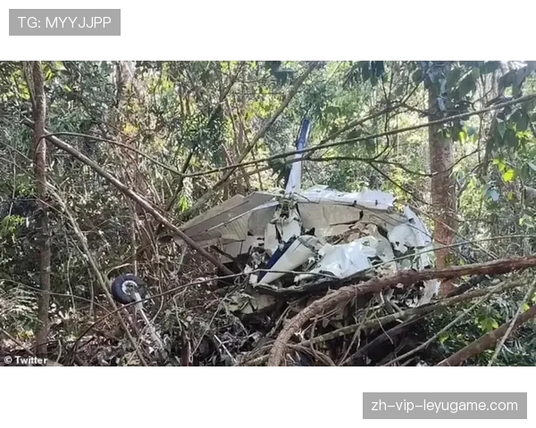 北大教授巴西坠机身亡,警方通报详情,北大教授巴西坠机身亡,警方通报详情 北大教授巴西坠机身亡,警方通报详情,北大教授巴西坠机身亡,警方通报详情